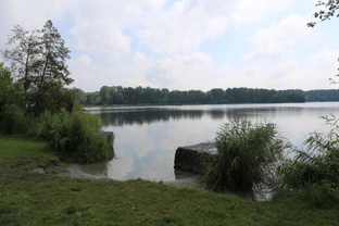 Losloopgebied: Haarlemmermeerse Bos in Hoofddorp