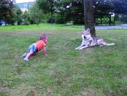 Děti versus psi – opatrně, nikoli úzkostlivě