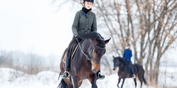Träna hästen under vintern - utan ridhus