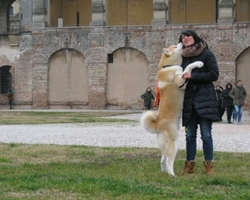 Allevare con amore e responsabilità