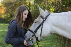 Aflatoxin Poisoning in Horses Explained