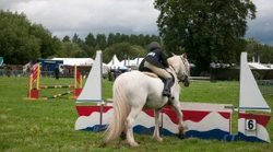 Falling from your horse - how to do it as safely as possible!