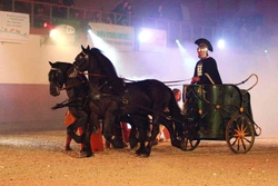 Black Horse Show podruhé