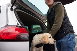 Bought a Stolen Puppy? Your Rights & What to Do