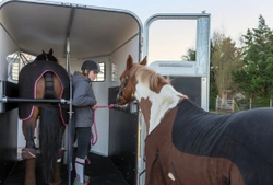 Transportering kan gynna dina tävlingsengagemang!