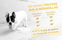 En verano, protege las almohadillas de tu perro