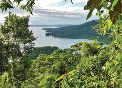 Jurský park na ostrově Coiba