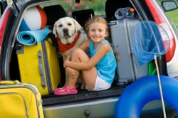 Travelling with Pets: How to survive Car Journeys