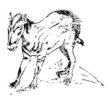 O původu koně