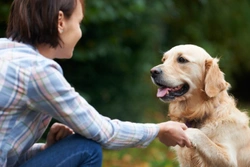 A Great New Year's Resolution - Get Healthier with Your Dog