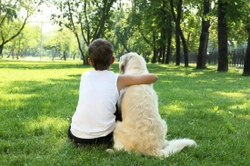 Staying safe around dogs - 20 top tips
