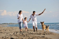 Healthy Pet, Healthy Owner: How Pets Improve Health