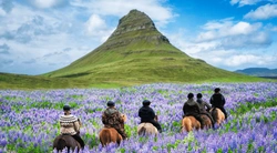 Utforska världen på hästryggen- tips på drömresor