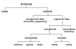 Výživa a krmení astrildovitých pěvců