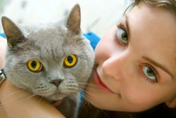 7 Key Tips for Acquiring a New Cat or Kitten