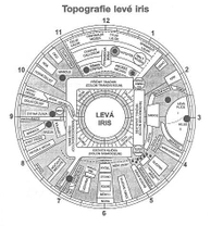 Veterinární alternativní medicína – 3. Část (Irisdiagnostika u psů)