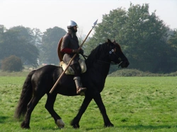 Carried into Battle - The history of horses and war