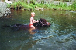 Plavání koní jako metoda tréninku