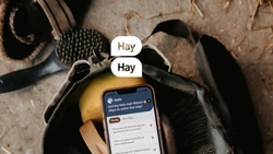 HayHay - ditt hästteam i mobilen 