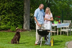 Summer safety tips - Your dog and your barbecue