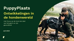 PuppyPlaats.nl bracherapport Zomer 2024: 54% van de hondenbaasjes houdt meer van hun hond dan van sommige directe familieleden