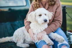 Tu perro... ¿puede leer tu mente?