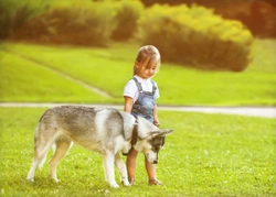 Niños y perros: a cada edad una responsabilidad