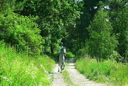 Magické slovo endurance – XV. Část