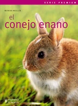 Comportamiento del conejo enano