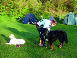 Šlapanický vlk moravským krasem Dogtrekking přilákal na dvě stovky závodníků