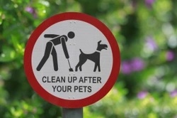 Dealing with dog mess - Some novel approaches