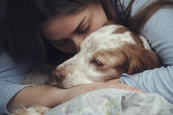 Eight ways to make life safer and more comfortable for your blind dog