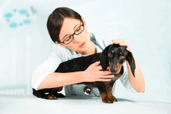 What is Pulmonary Edema in Dogs?