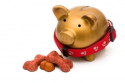 Lifetime Costs of Dog Ownership: What to Expect