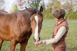 Alternative Sources of Fibre for Horses