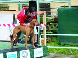 „Létající“ psi Jediný závod v Česku