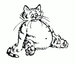 Kočka má velké břicho