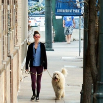 Cuántas veces al día debe salir a pasear un perro