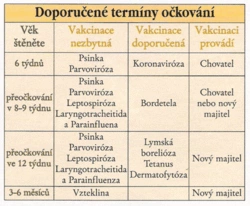 Retriever – 8. část