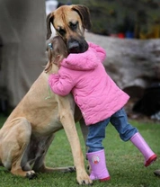 Perros y bebés: amor sin fin