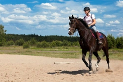 Returning to Horse Riding as an Adult