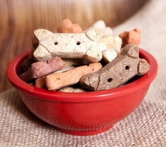 Tips for Safe Home Cooking for Dogs