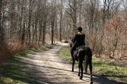 The countryside code for horse riders