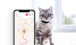 Are gps pet trackers worth the money?