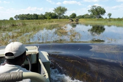 Okavango šampaň