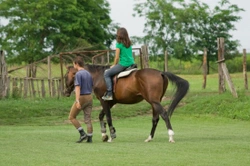 Choosing a horse riding school for the novice rider