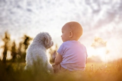 How would you know if you or your child were allergic to dogs?