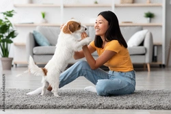 Jack Russell puppy training tips: Essential tips for new owners