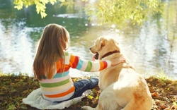 Keeping Children Safe Around Dogs