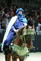 Equitana – ráj milovníků koní